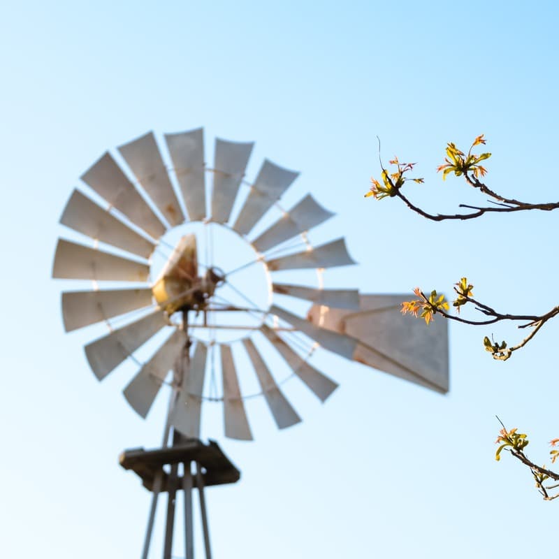 Blowin' In The Wind (arr. Dominic Meccia)