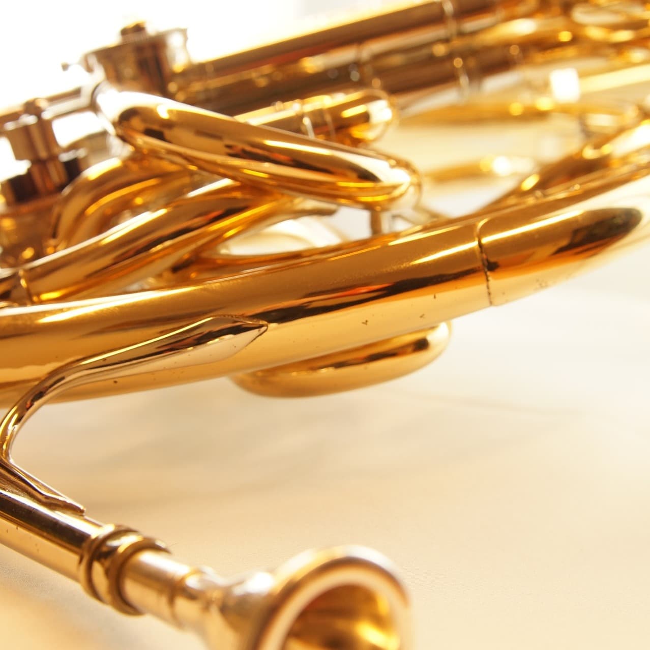 The One And Only (arr. Rob Bushnell)