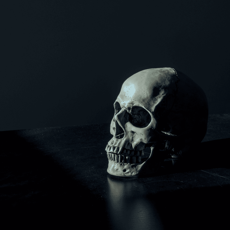 I'm Your Killer Tonight