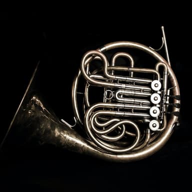Horn exercise