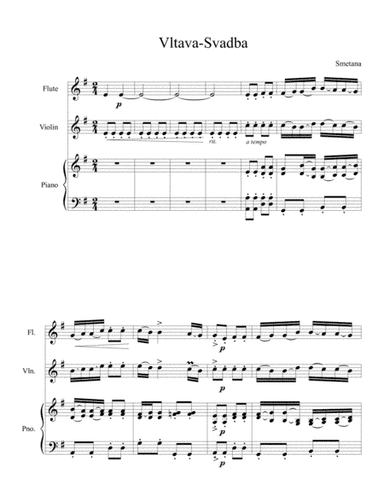 Vltava -Wedding for flute .violin and piano (arr. Anarunika)