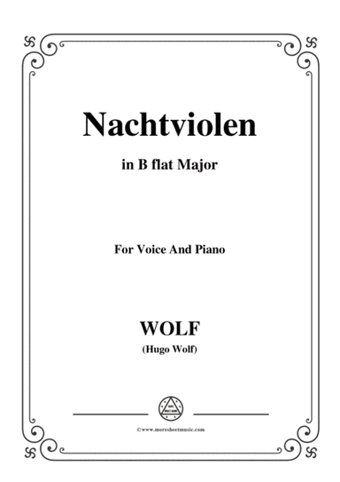 Wolf-Nachtviolen in B flat Major,for Voice and Piano (arr. MSM)