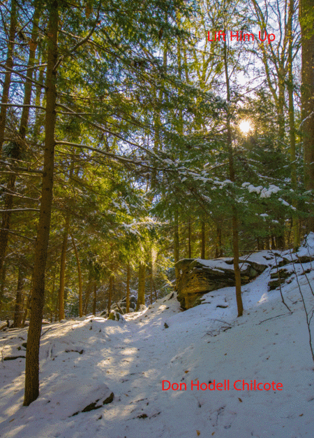 Lift Him Up - Gospel