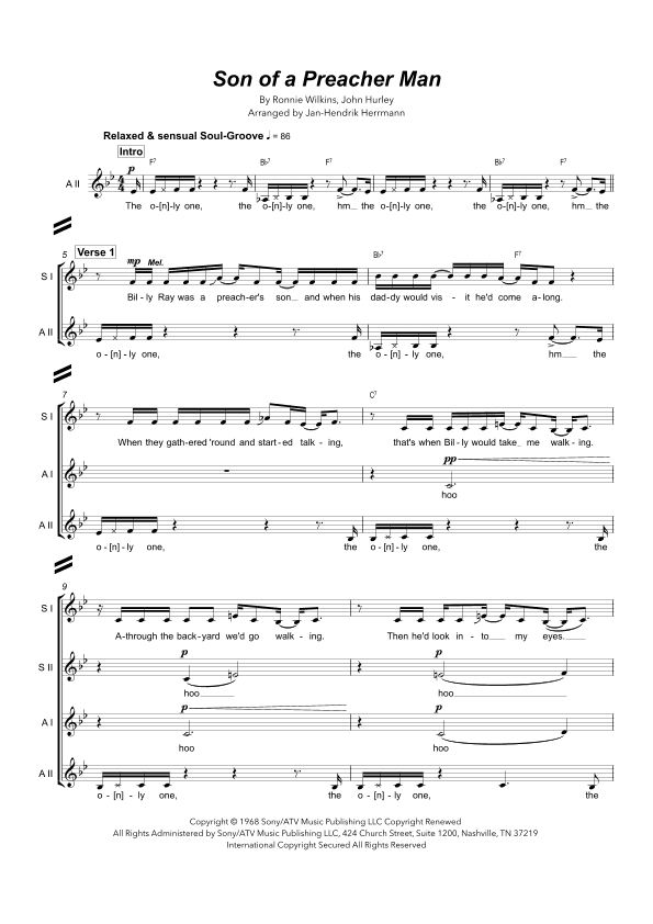 Son-of-a-preacher Man (arr. Jan-Hendrik Herrmann)