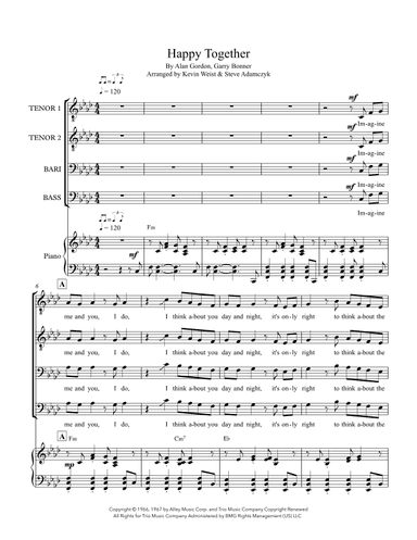 Happy Together (arr. Kite & String Music)
