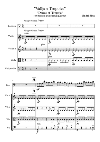 "Dance of Tropoja" for basson and string quarttet