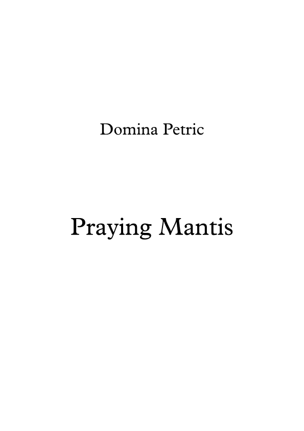Praying Mantis