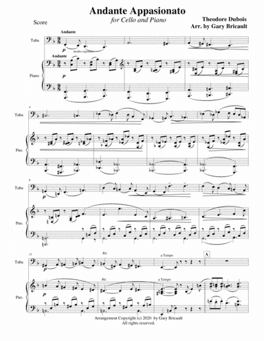 Andante Appasionato (arr. Gary Bricault)