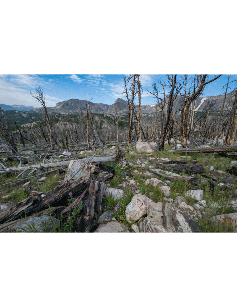 Diamonds #1, Preludes For Piano, Volume #77