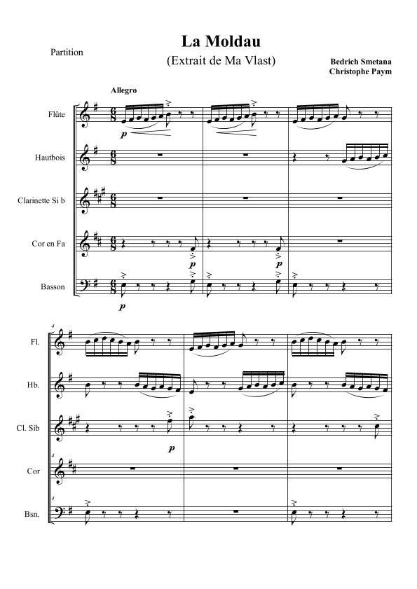 Smetana The Moldau - woodwind quintet (arr. Christophe Paym)