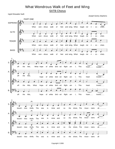 What Wondrous Walk of Feet and Wing