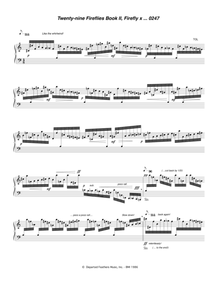 Twenty-nine Fireflies Book II, Firefly x 0247