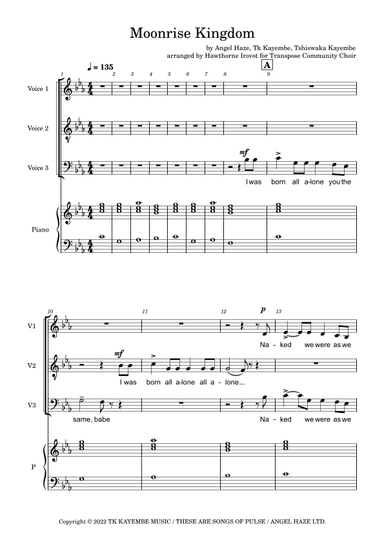 Moonrise Kingdom (arr. Hawthorne Irovot)