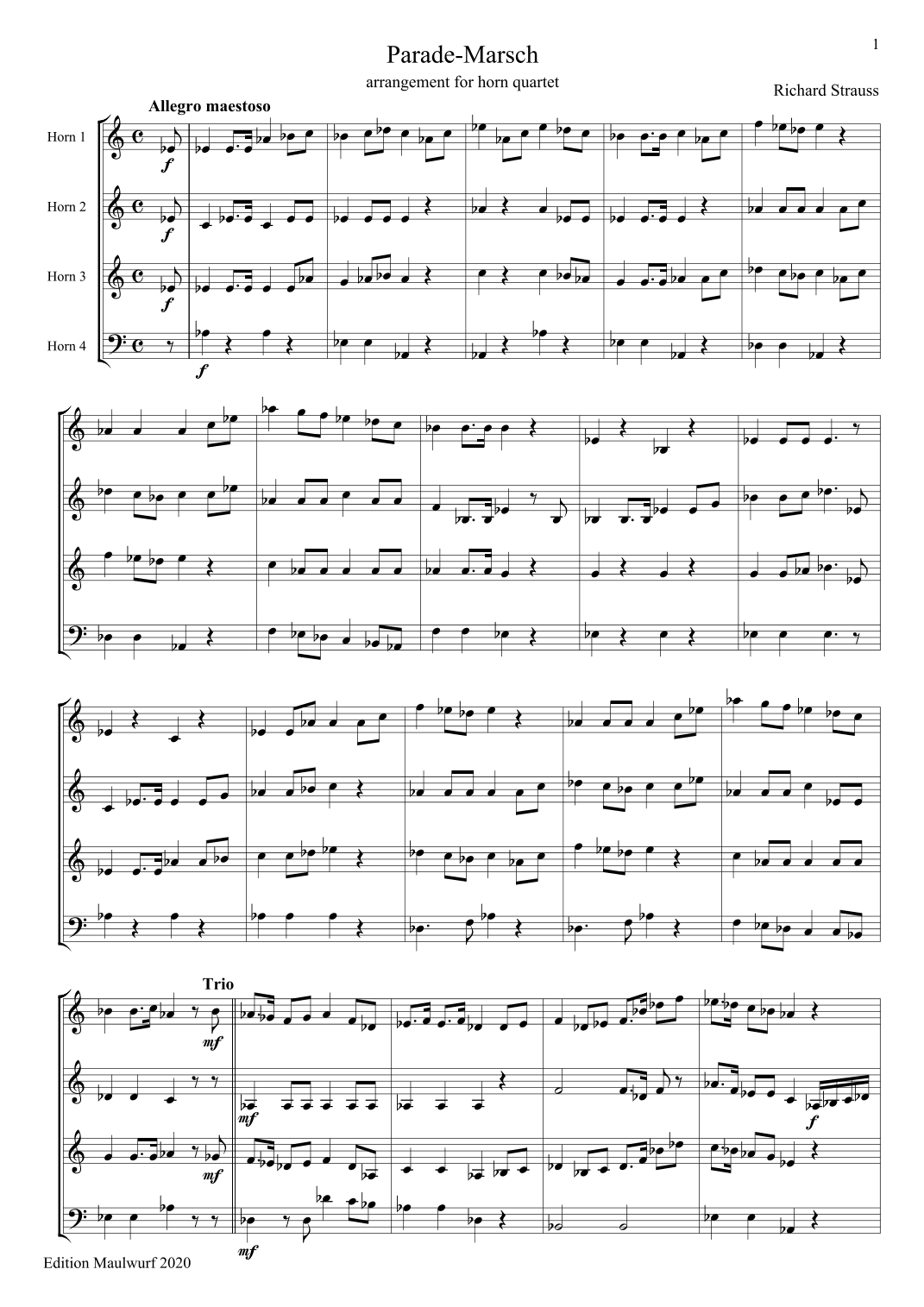 Parademarsch (arr. Edition Maulwurf)