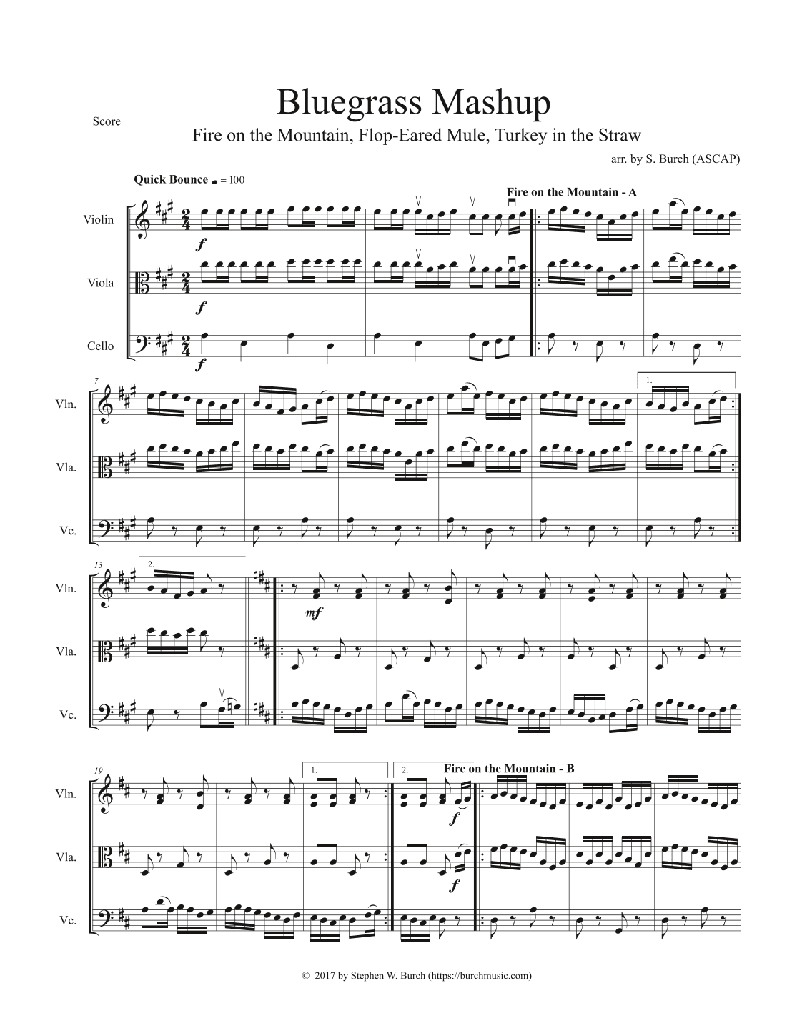 Bluegrass Mashup (arr. Stephen W. Burch (ASCAP))