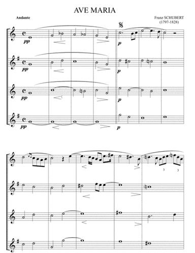 Ave maria (arr. Maurizio Leoni)