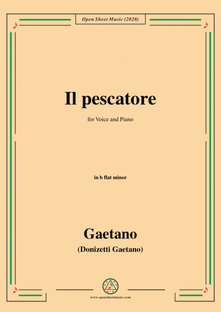 Donizetti-Il pescatore,in b flat minor,for Voice and Piano (arr. MSM)