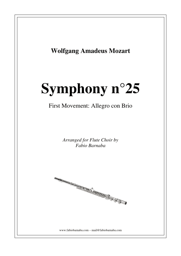 Symphony n°25 by Mozart (first movement) - for Flute Choir (arr. Fabio Barnaba)