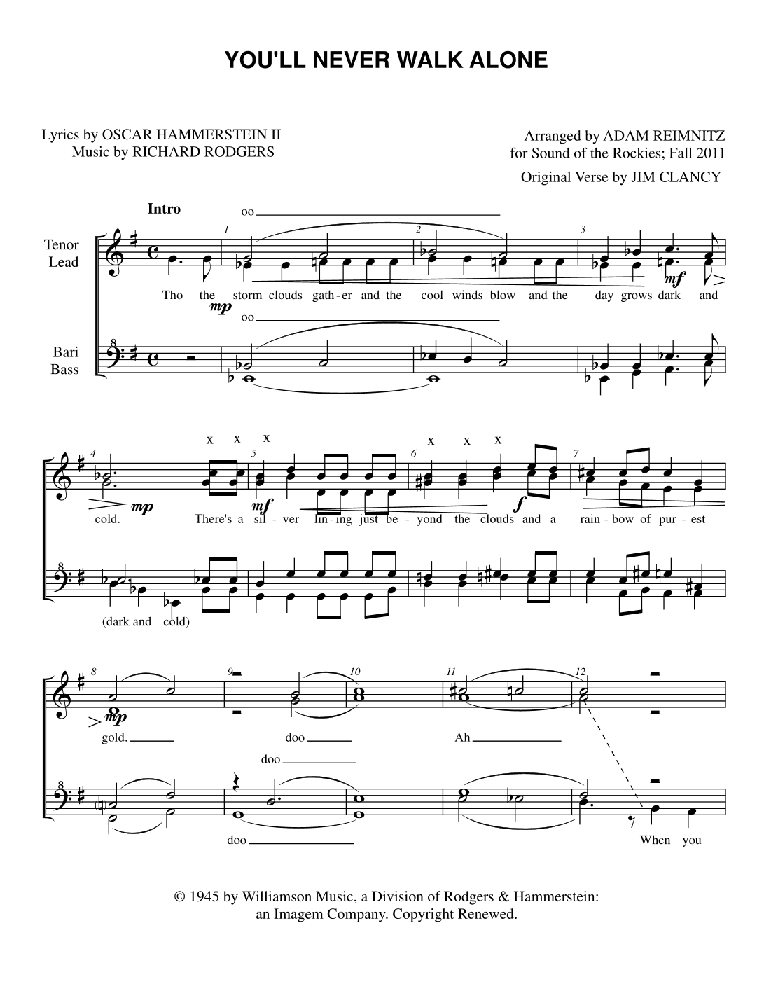 You'll Never Walk Alone (arr. Adam Reimnitz)