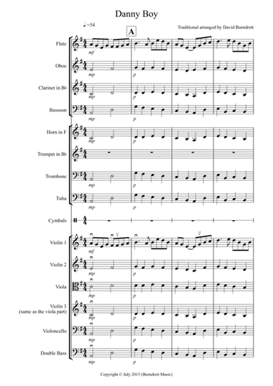 Danny Boy for School Orchestra (arr. David Burndrett)