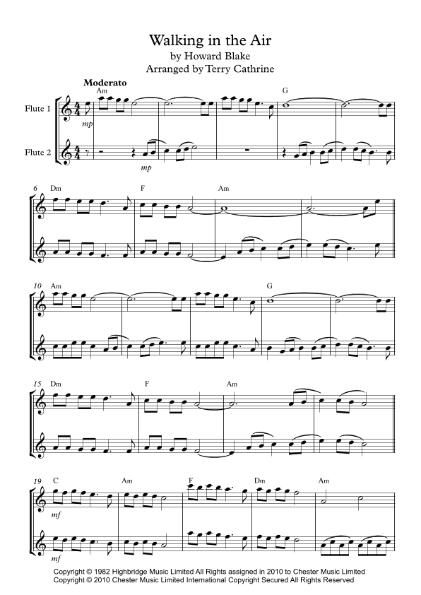 Walking In The Air (arr. Terry Cathrine)