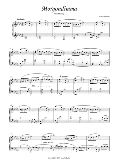 Dimmig morgon - Misty Morning