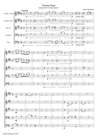 Tantum Ergo in D major (arr. Edition Maulwurf)