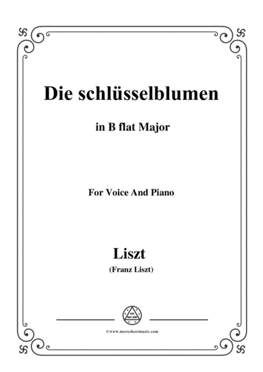 Liszt-Die schlüsselblumen in B flat Major,for Voice and Piano (arr. MSM)
