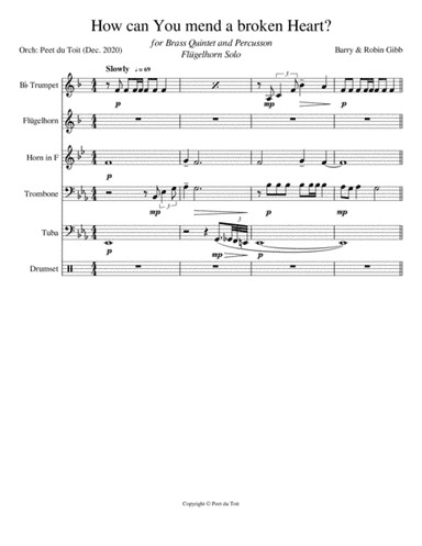 How Can You Mend A Broken Heart (arr. Peet du Toit)