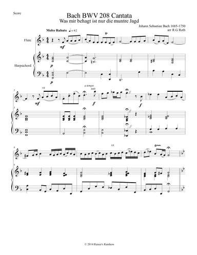 Bach BWV 208 Aria May Sheep Safely Graze Flute or Alto Flute Solo (arr. R G Roth)