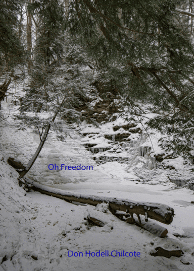 Oh Freedom (arr. Don Hodell Chilcote)