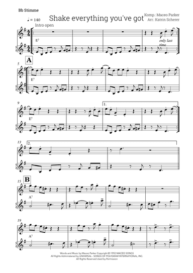 Shake Everything You've Got (arr. Katrin Scherer)