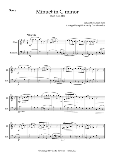 Minuet in G minor BWV anh 115 (Bach) Flute and Bassoon (arr. Cadu Barcelos)