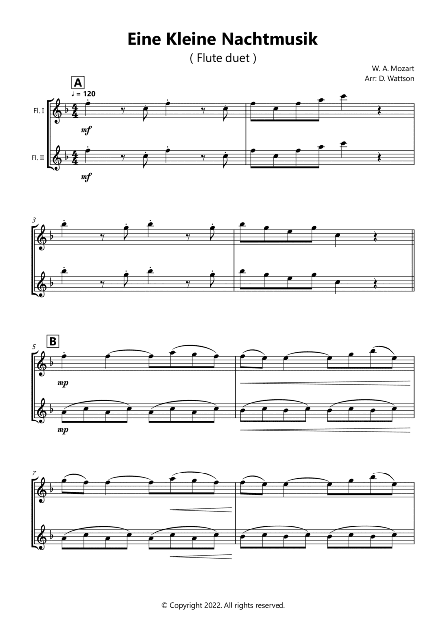Eine Kleine Nachtmusik flute duet (arr. Douglas Wattson)