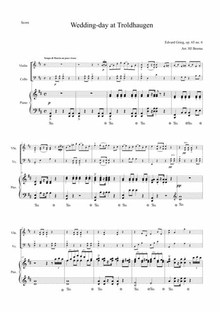 Grieg - Wedding-day at Troldhaugen / Hochzeitstag auf Troldhaugen op.65 no. 6 for pianotrio (arr. HJ Bosma)