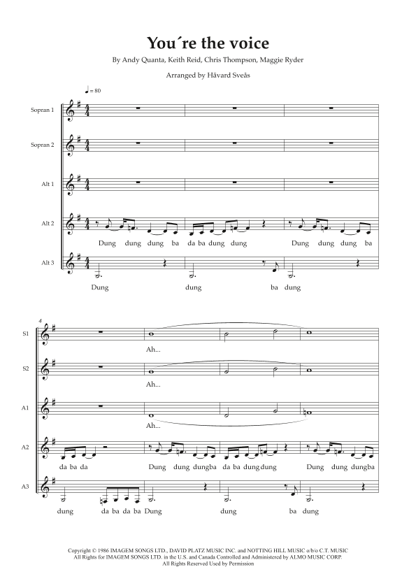 You're The Voice (arr. Håvard Sveås)