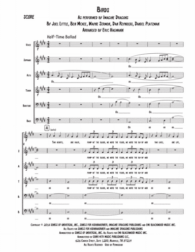 Birds (arr. Eric Hagmann)
