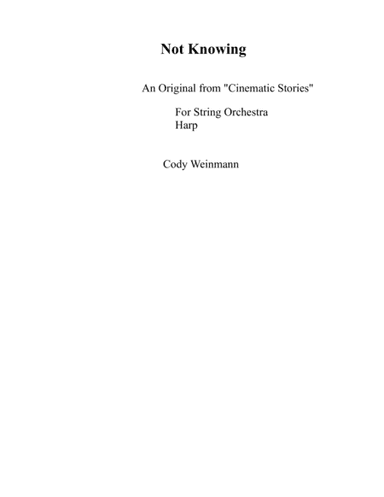 Not Knowing For String Orchestra