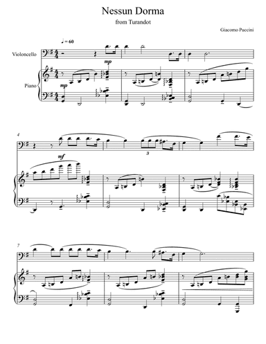 Giacomo Puccini - Nessun Dorma - Turandot (Violoncello Solo) (arr. André Laitano)