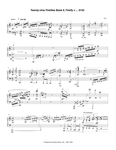 Twenty-nine Fireflies Book II, Firefly v 0135