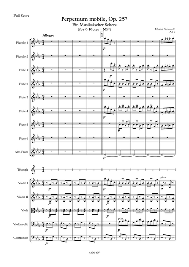 Perpetuum mobile, Op.257 (for 9 Flute Solo & Strings) (arr. Alexander Gagarinov)