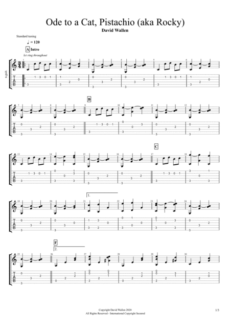 Ode To A Cat, Pistachio (aka Rocky)