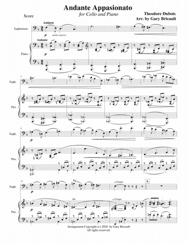 Andante Appasionato (arr. Gary Bricault)