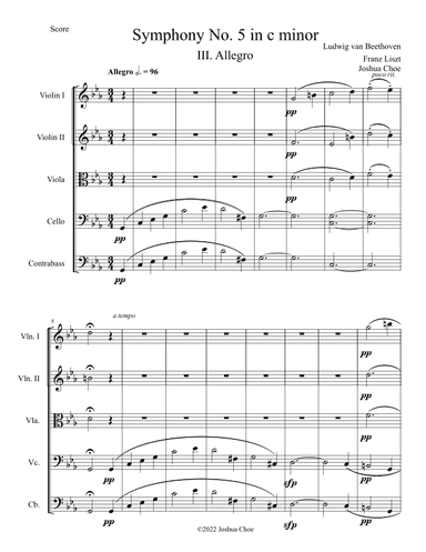 Symphony No. 5 in c minor, Movement 3 (arr. JMJ Arrangements)