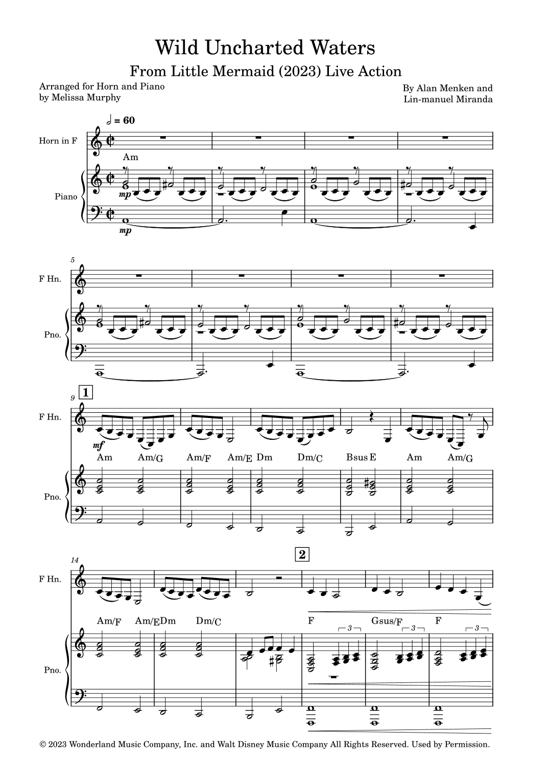 Wild Uncharted Waters (arr. Melissa Murphy)