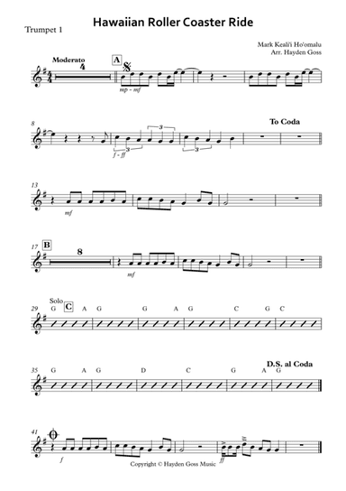 Hawaiian Roller Coaster Ride