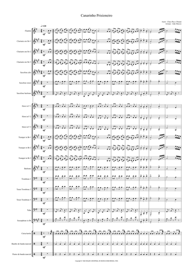Canarinho Prisioneiro (arr. João Marcos Maciel)