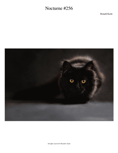 Nocturne #256