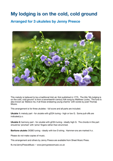 My lodging is on the cold, cold ground (arr. Jenny Preece)