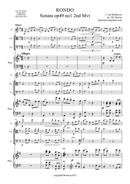 Beethoven - Rondo Op.49 - Flute, Viola, Cello, Piano Piano Quartet (arr. Tim TK Murray)